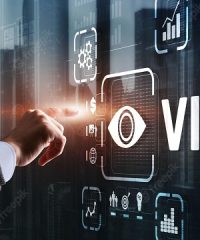 Vision